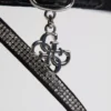 Charmer-hakken met strass-bedeltje