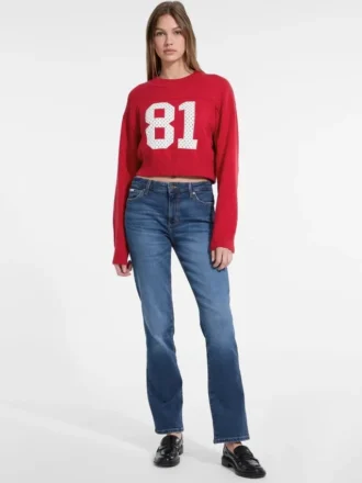 Cropped 81-truien
