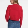Cropped 81-truien