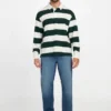 Eco Alpine Stripe rugbypolo Eco Alpine Stripe rugbypolo