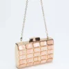 Emma Lucite-clutch