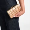 Emma Lucite-clutch