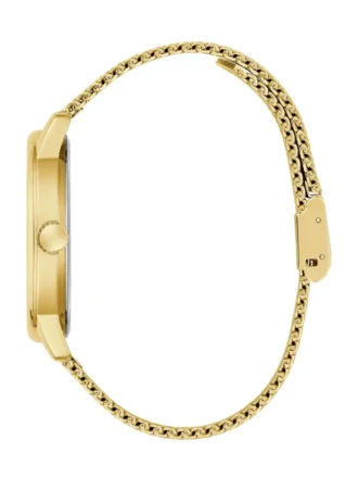 Goudkleurig en blauw analoog horloge