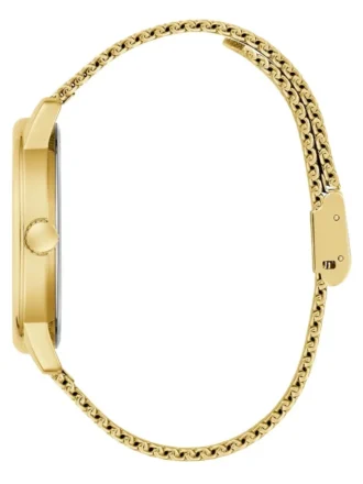 Goudkleurig en zwart analoog horloge