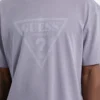 Guess Originals Eco Vintage T-shirt met driehoek