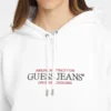 Oversized American Tradition-hoodie Oversized American Tradition-hoodie