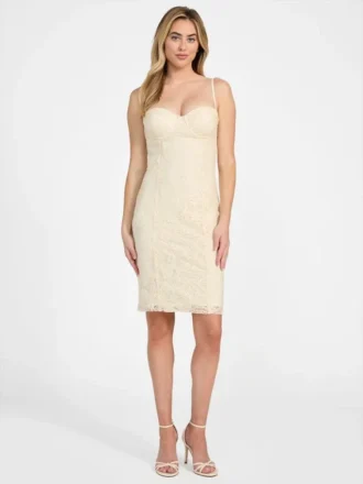 Serene Lace Bustier Dress
