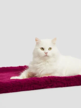Tapijt van imitatiebont voor huisdieren Tapijt van imitatiebont voor huisdieren